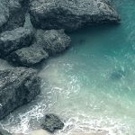bg-10-free-img